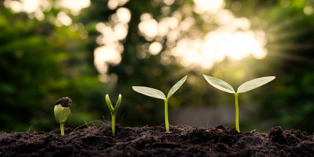 Implementing Sustainability Across the Drug Delivery Product Value Chain