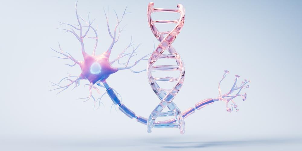 Drug Delivery to the Brain: Engineering Precision Across Novel Modalities