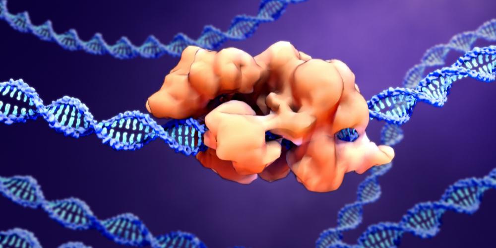 How a CMO Approaches Clinical Development of a CRISPR-Engineered TIL Therapy