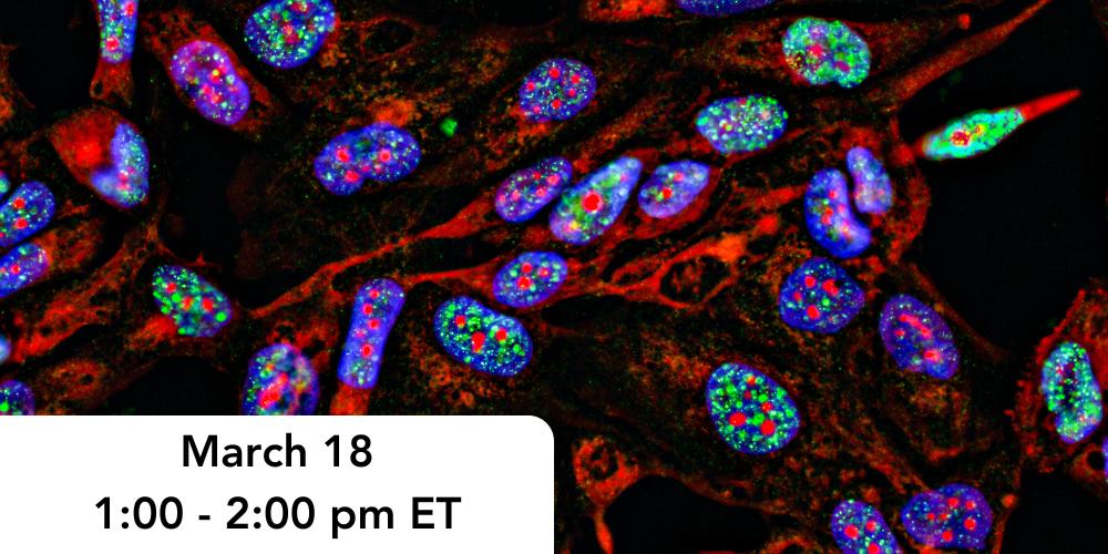 Spatial Biomarker Panels for Clinical Trials