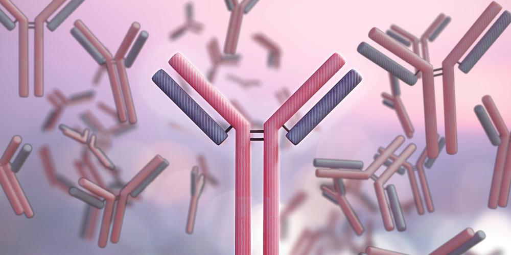 Principles and Strategies for Designing Best-in-Class Immuno-Oncology ADCs